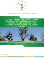 African forests, people and climate change project: forest and climate changes Policies, Strategies and Programmes in the SADC and COMESA regions. Vol 2 (17).